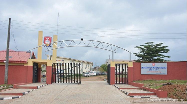 UNIMED Postgraduate Courses and Requirements | See List