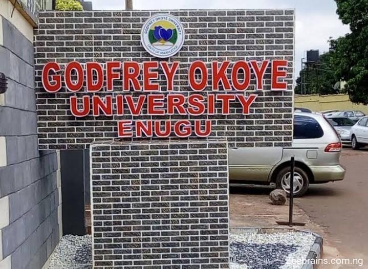 Godfrey Okoye University Sandwich Form | 2025/2026