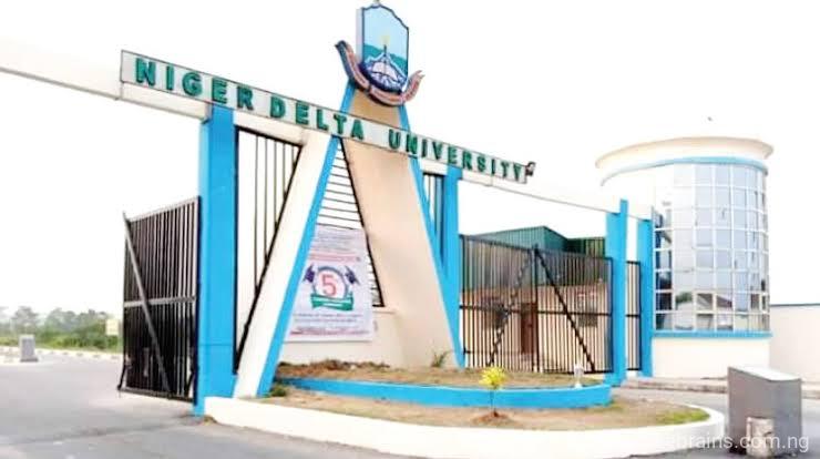 Niger Delta University Post UTME Form | 2025/2026
